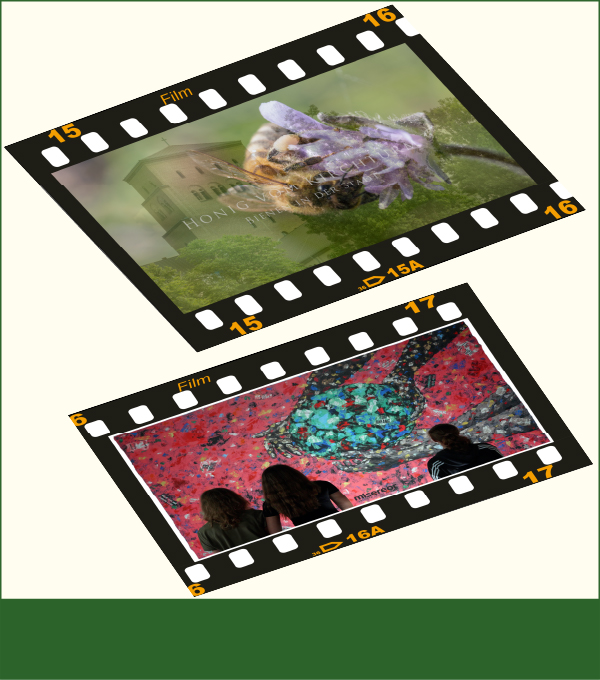 Jugendfilmprojekt 2023